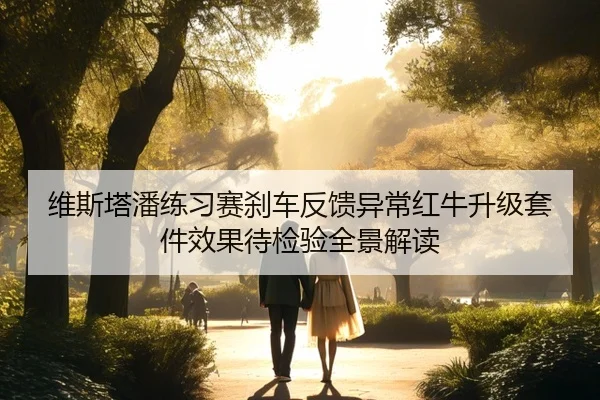 维斯塔潘练习赛刹车反馈异常红牛升级套件效果待检验全景解读