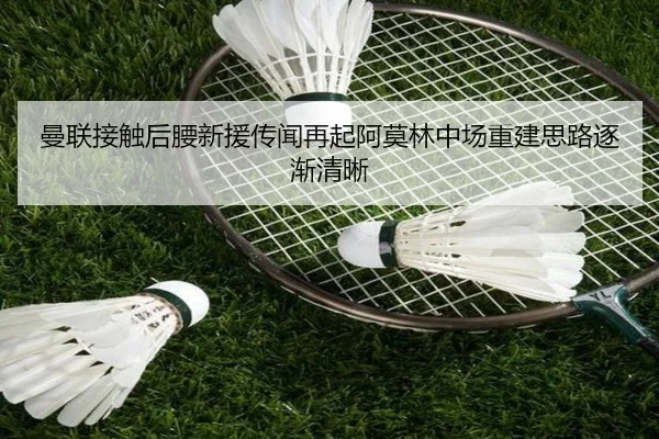 曼联接触后腰新援传闻再起阿莫林中场重建思路逐渐清晰