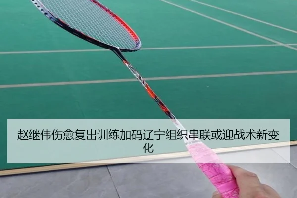 赵继伟伤愈复出训练加码辽宁组织串联或迎战术新变化